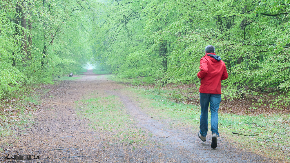 Action shot Thetford Forest