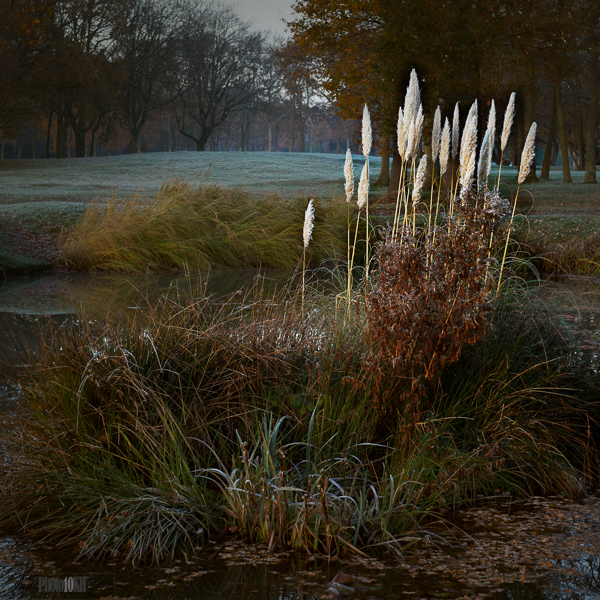 Mastering photography through ten thousand hours deliberate practice