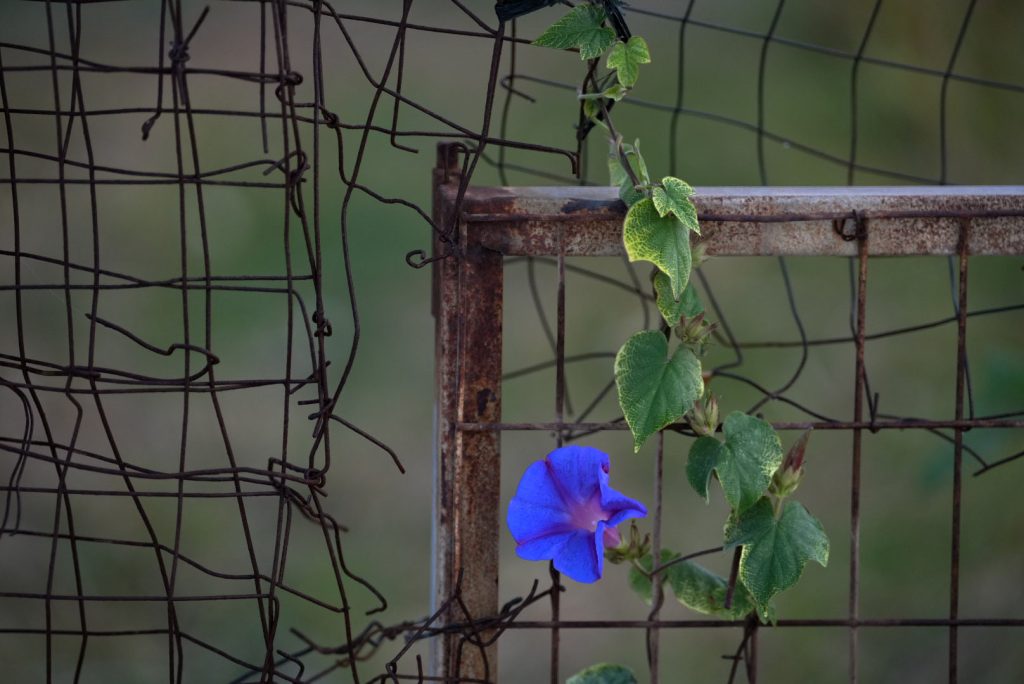 10,000 hours deliberate practice mastering the art of nature photography