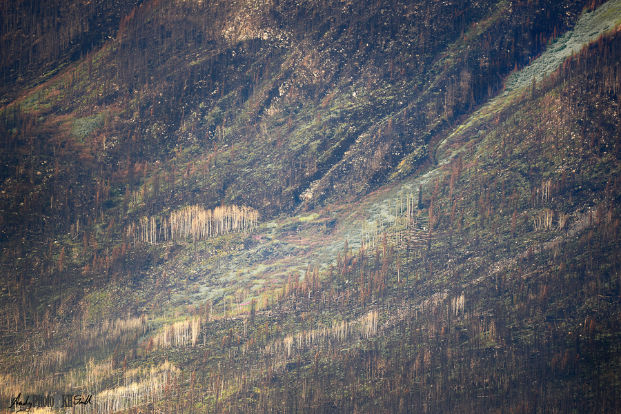 Ten thousand hours deliberate practice mastering landscape photography