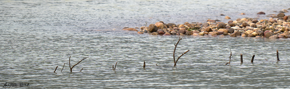 Ten thousand hours deliberate practice mastering abstract landscape photography