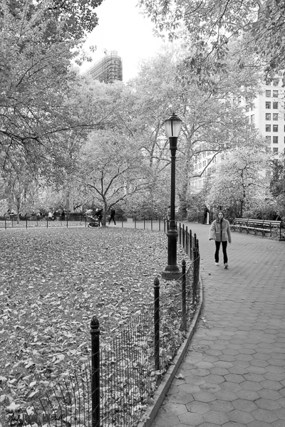 Madison Square Park Flat Iron