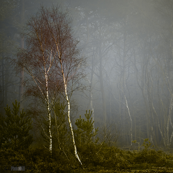 Image from my Royal Photographic Society Associateship panel in Landscape Photography